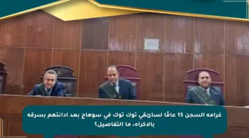غرامة السجن 15 عامًا لسائقي توك توك في سوهاج بعد إدانتهم بسرقة بالإكراه، ما التفاصيل؟